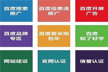 SEM托管公司案例：优化与增长